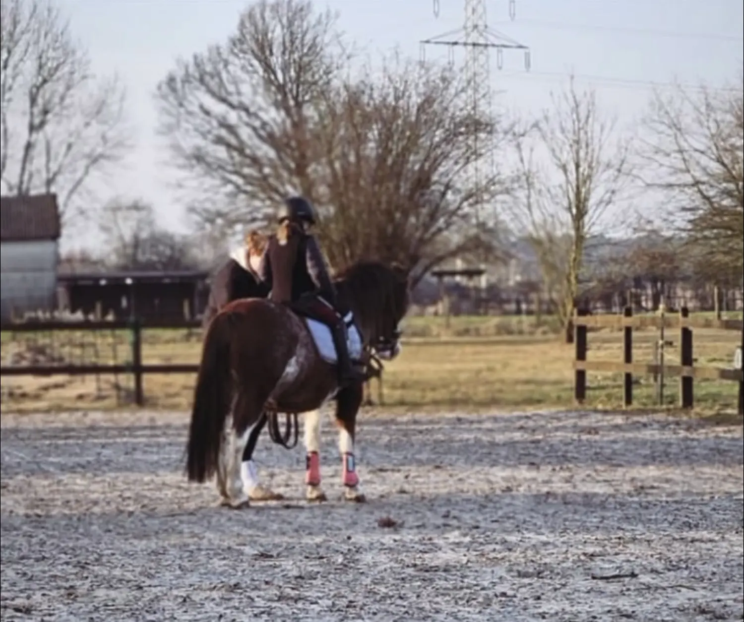 Lena Bausch - Reittherapie Essel - Reiten
