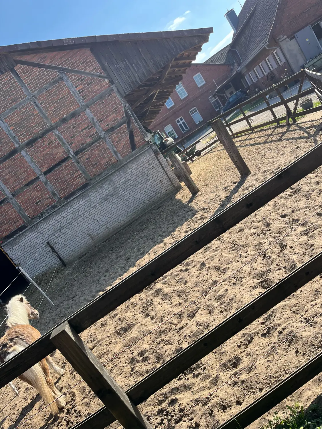 Lena Bausch - Reittherapie Essel - Pferdehof