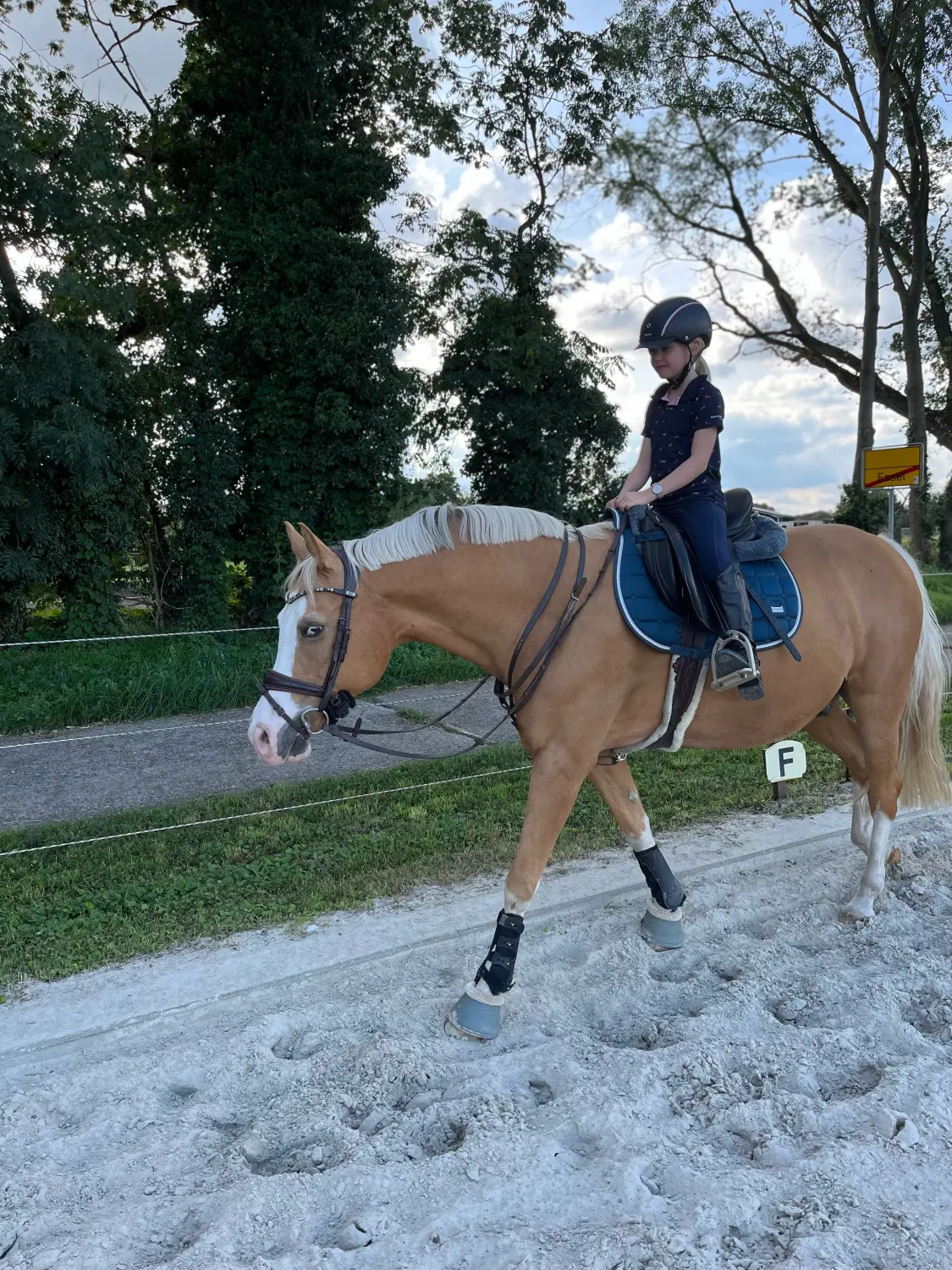 Lena Bausch - Reittherapie Essel - Reittherapie