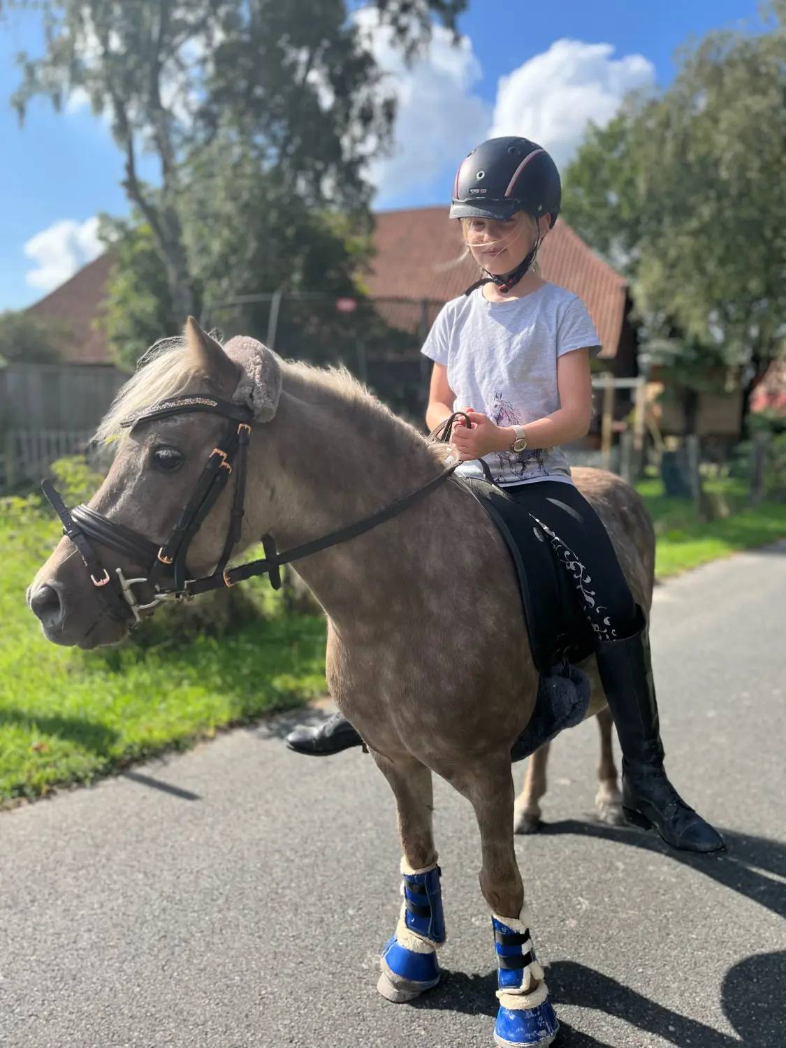 Lena Bausch - Reittherapie Essel - Reittherapie