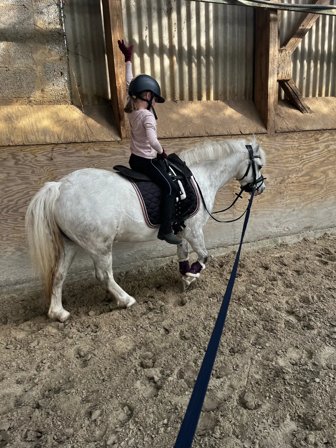 Lena Bausch - Reittherapie Essel - Reittherapie