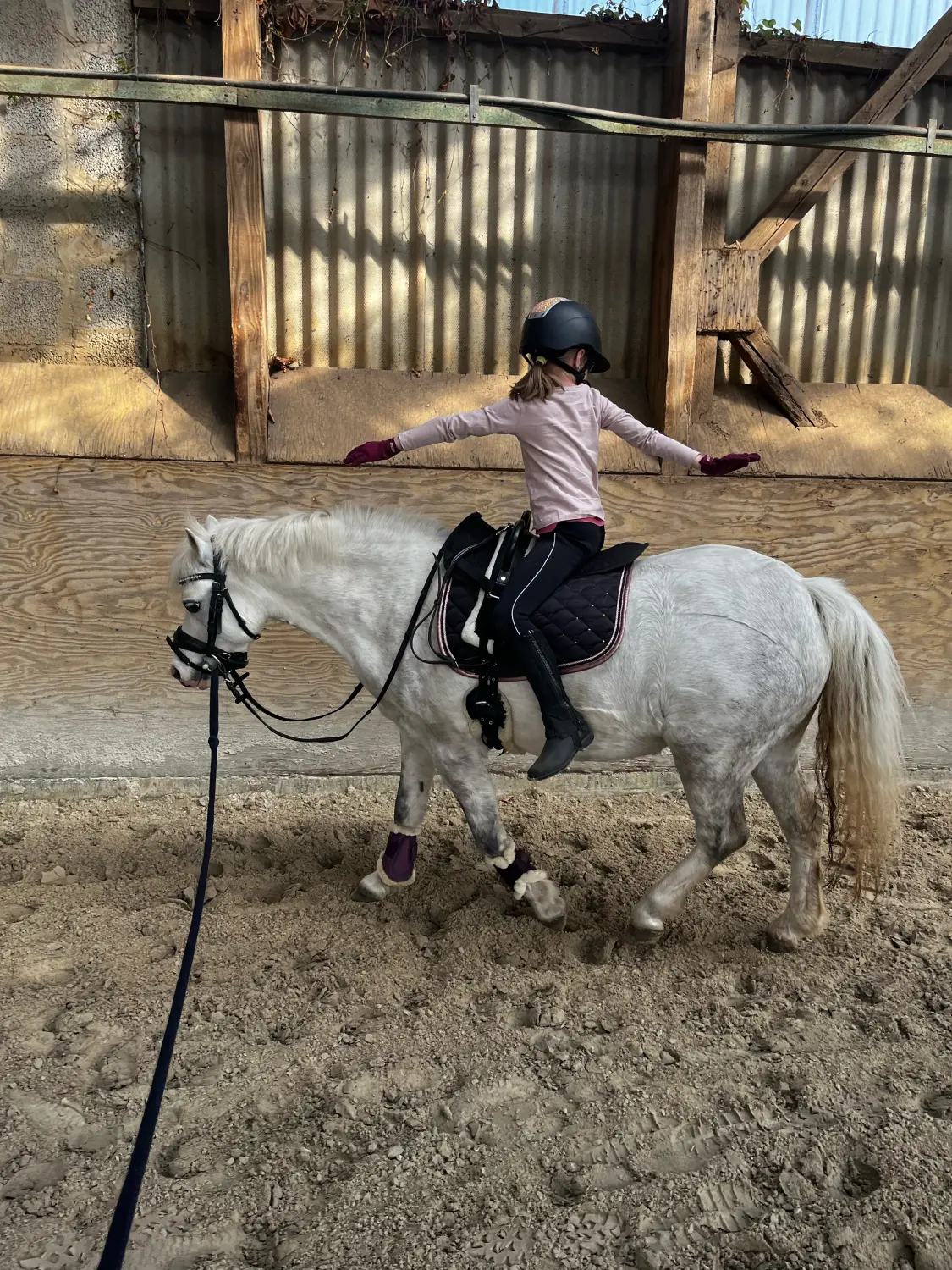 Lena Bausch - Reittherapie Essel - Reittherapie