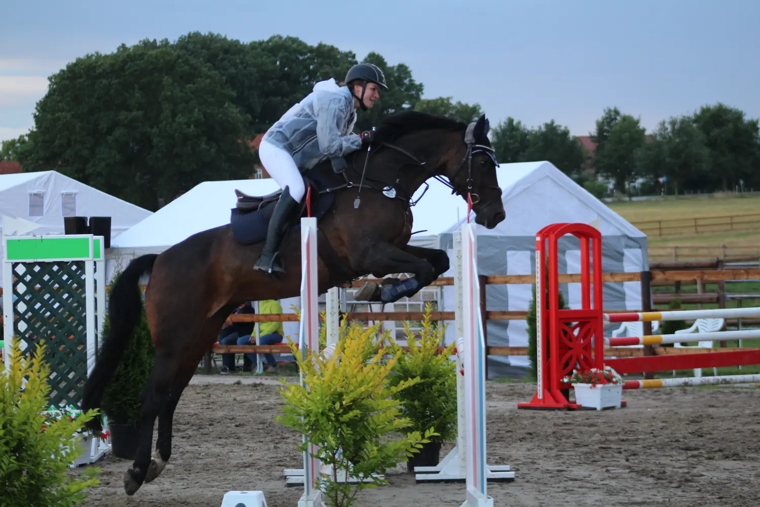 Pferd Reittherapie Lena Bausch in Essel