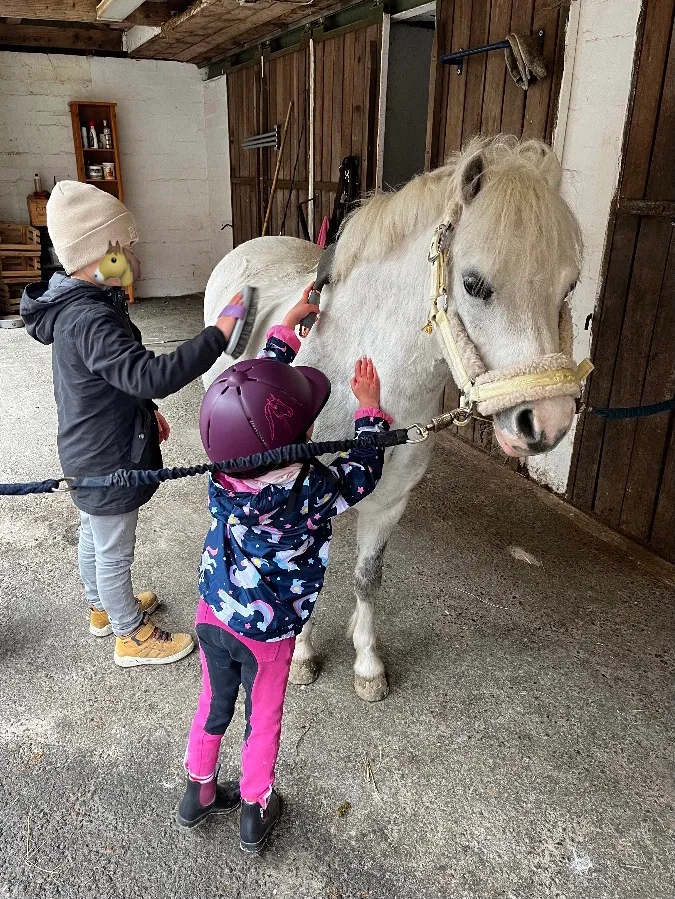 Pferd Reittherapie Lena Bausch in Essel