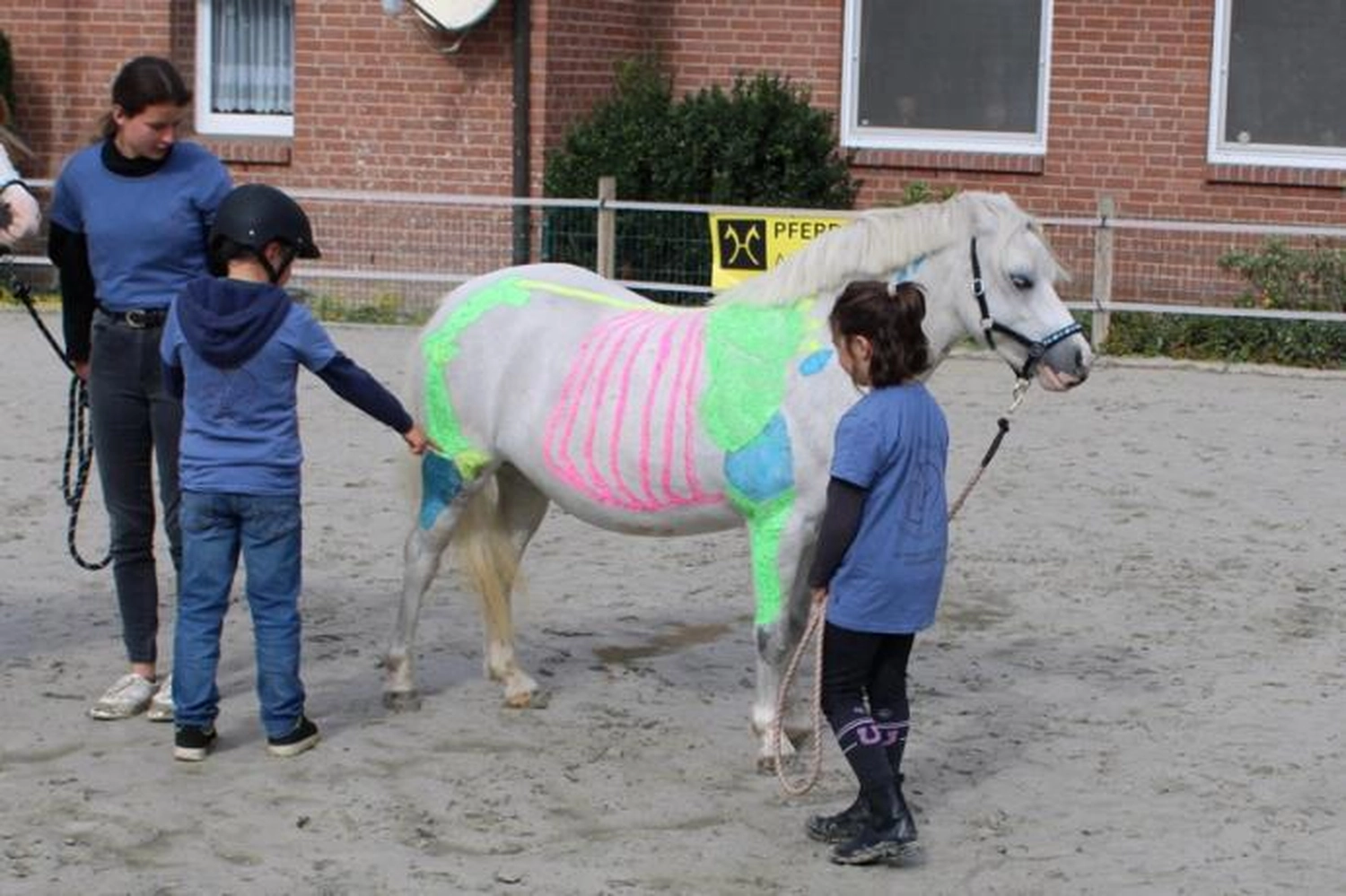 Pferd Reittherapie Lena Bausch in Essel