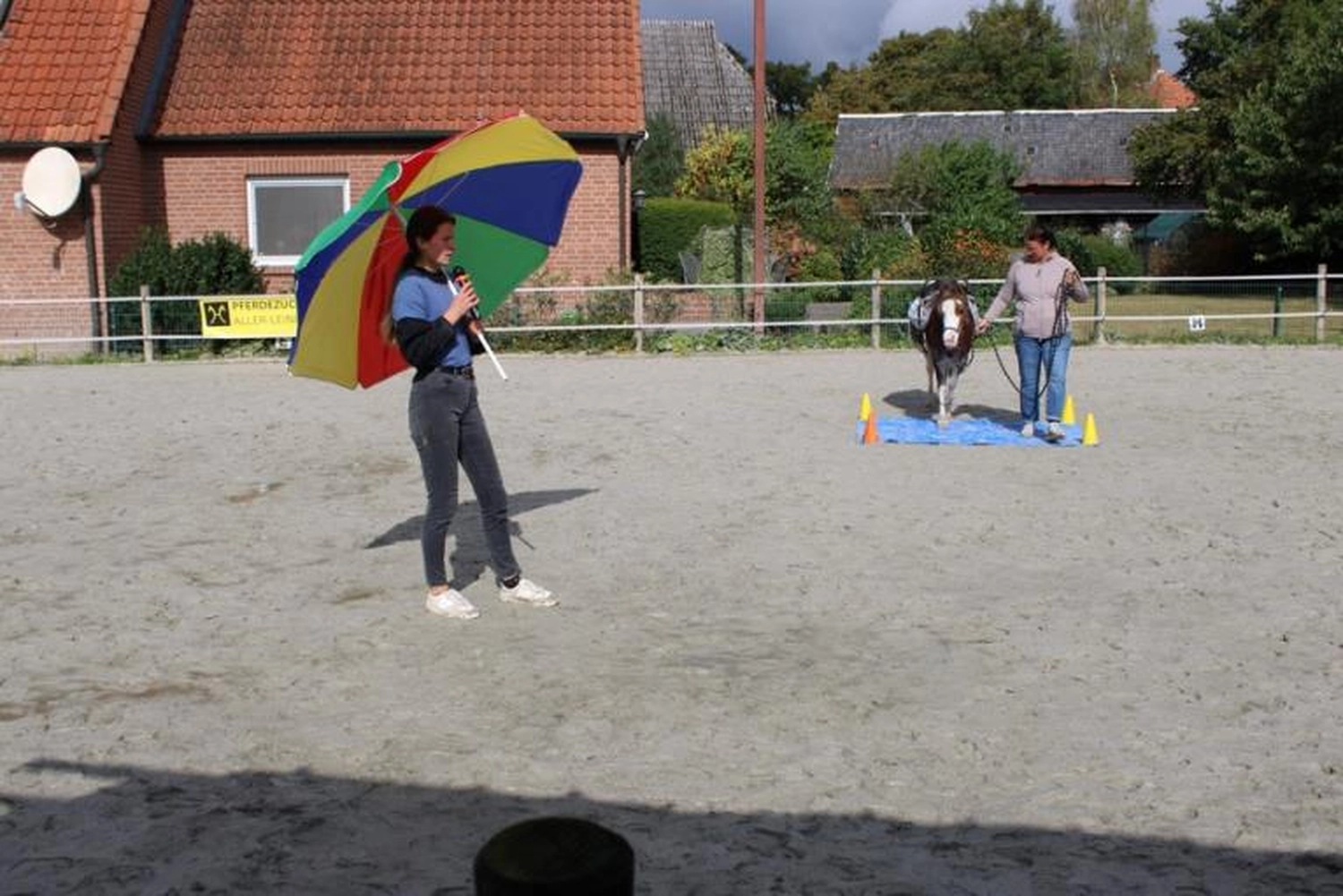 Pferd Reittherapie Lena Bausch in Essel
