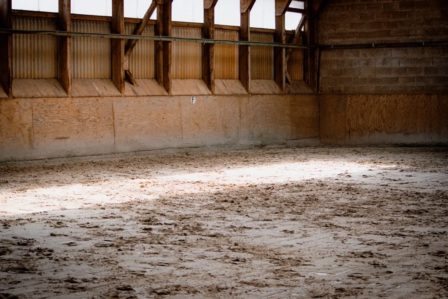 Reittherapie Lena Bausch in Essel