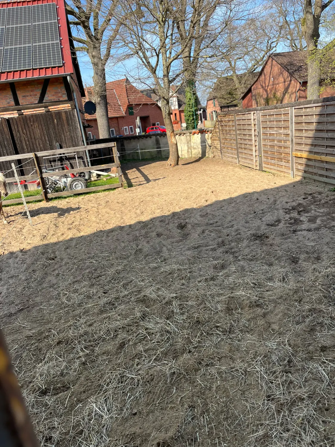 Lena Bausch - Reittherapie Essel - Pferdehof