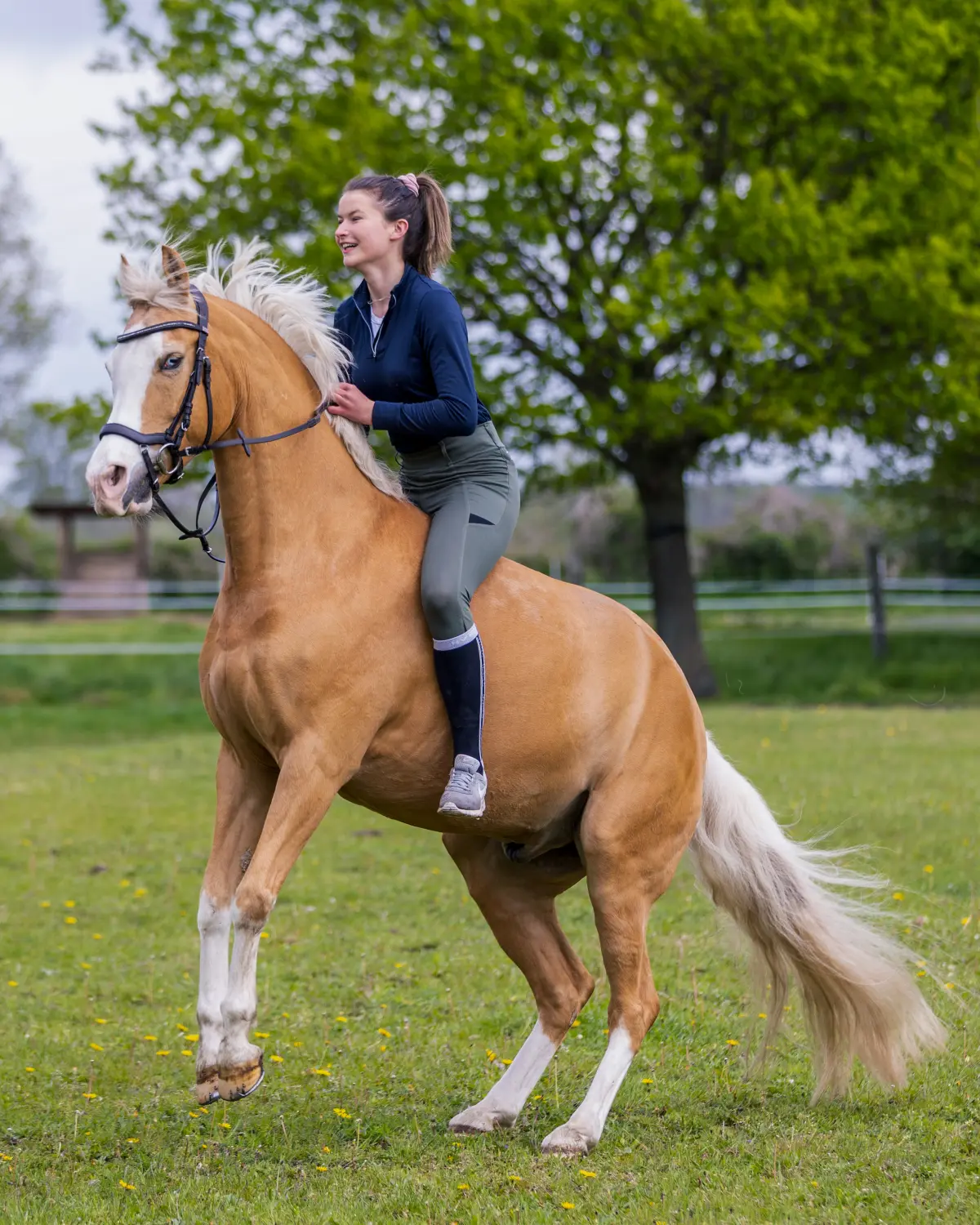 Pferd Reittherapie Lena Bausch in Essel